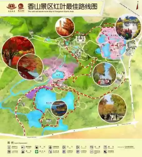 红叶10层攻略正常打法插图1