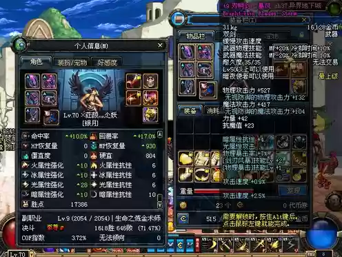 dnf刺客极限伤害装备插图