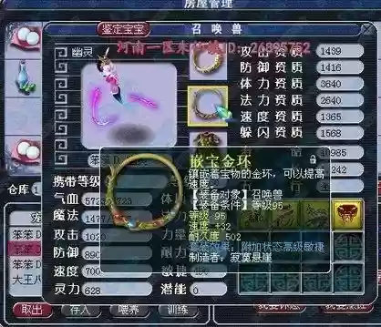 梦幻西游染色幽灵饰品插图1