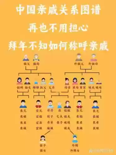 亲戚阵容搭配插图1