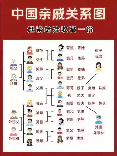 亲戚阵容搭配插图