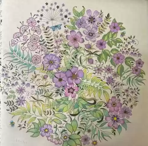 涂色花园攻略插图1