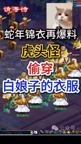 梦幻西游手游虎头怪锦衣，梦幻手游虎头怪时装最佳搭配插图