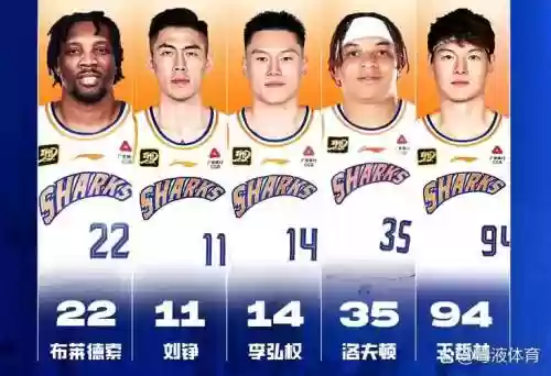 鲨鱼阵容搭配，大鲨鱼阵容插图