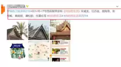 向往4原班人马阵容搭配，向往4嘉宾插图1
