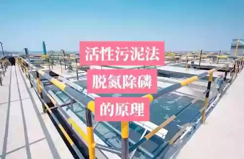 污染技能，污染能力插图1