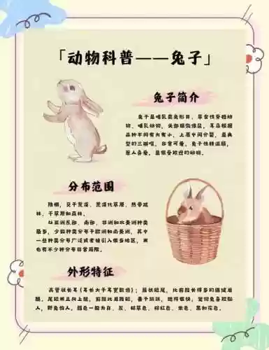 兔子进化攻略，兔子进化三部曲插图