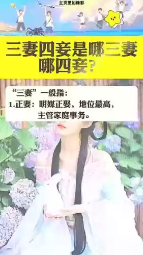 三妻四妾倾城攻略有错，三妻四妾吧插图