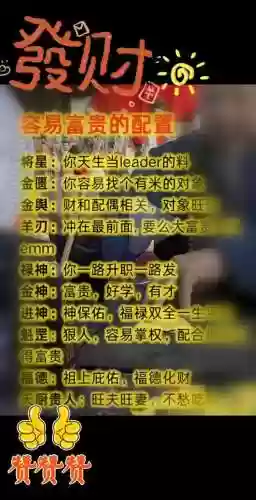 富家子最强阵容搭配，富家子什么意思插图1