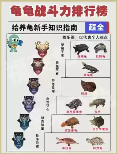 战龟2最强阵容搭配，战龟二攻略插图