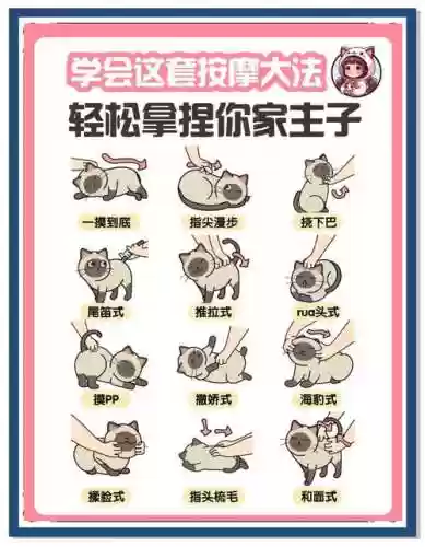 猫改技能选择，猫咪技能可以暴击吗插图