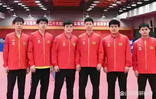 男乒梦幻阵容搭配，男乒男队员插图