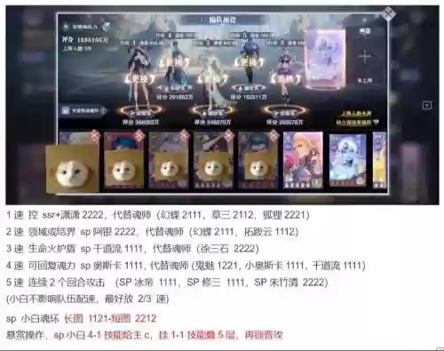 小白武魂搭配阵容，小白是什么魂兽插图