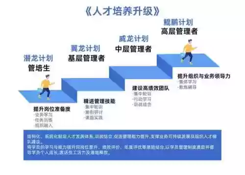 有限公司最强阵容搭配，有限公司 power by dedecms插图1