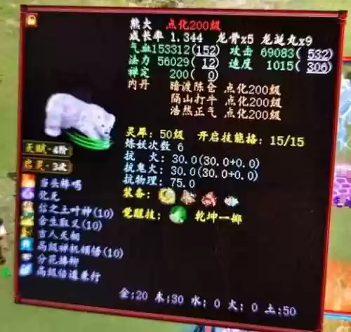 大话2法攻宝宝技能选择，大话西游2法攻宝宝如何选择坐骑插图