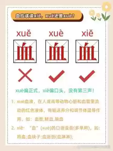 血恨交织视频攻略，血恨的读音插图1