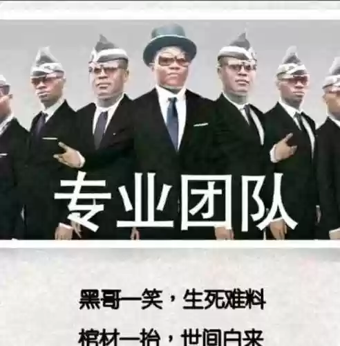 黑哥阵容搭配，黑哥专业团队bgm叫什么插图1