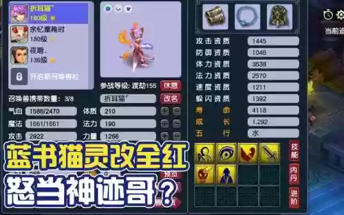 梦幻西游猫灵人视频，梦幻猫灵人形怎么抓插图1