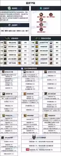 女弹药的毕业装备，女弹药的毕业装备是什么插图