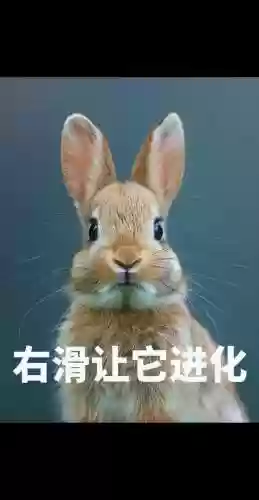 兔子进化攻略，兔子进化三部曲插图1
