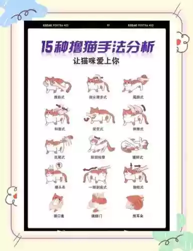 猫改技能选择，猫咪技能可以暴击吗插图1