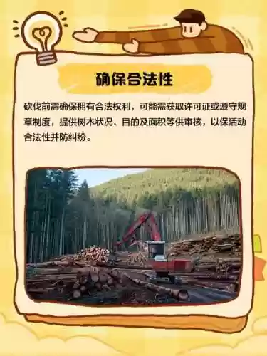 领地人生木匠技能，领地人生怎么砍树插图1