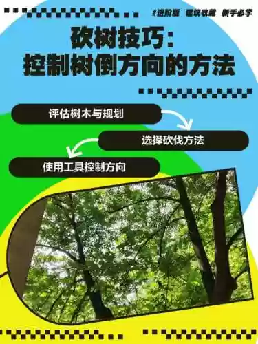 领地人生木匠技能，领地人生怎么砍树插图