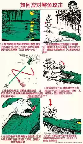 野生丧尸动物游戏攻略,丧野求生指南插图 野生丧尸动物游戏攻略,丧野求生指南插图
