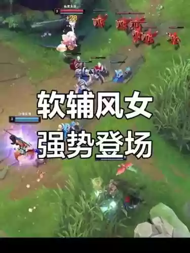 辅助风女搭配什么阵容最好，风女辅助强吗